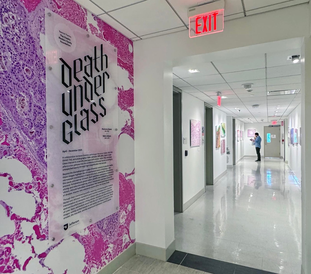 This image shows the wall panel explaining Death Under Glass.