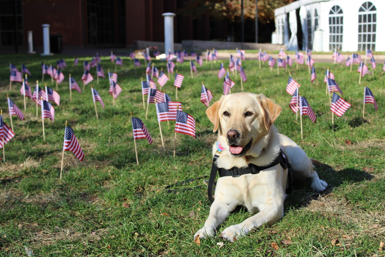 Maggie and flags