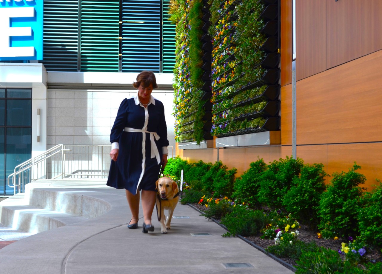 Dean Marino walking Maggie